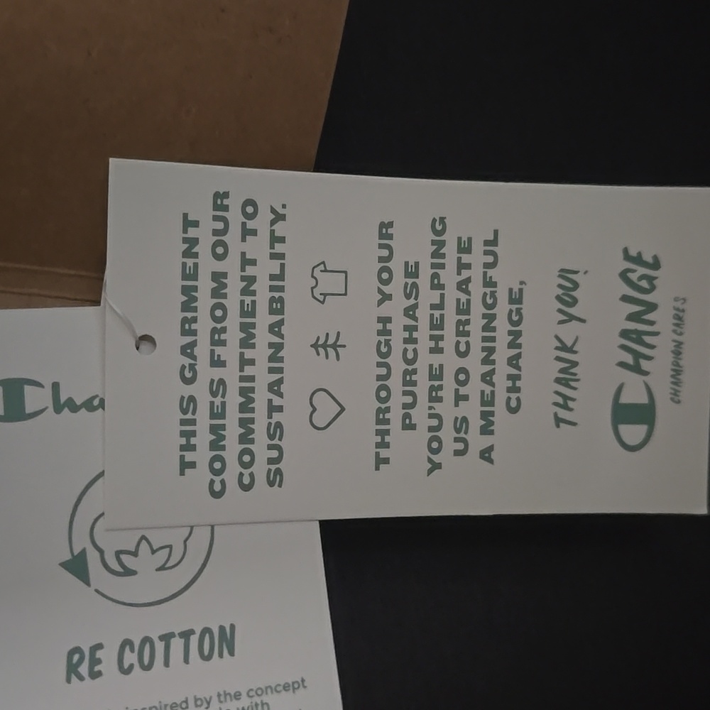 Champion Eco recycled cotton hoodie - Picture 8 of 10